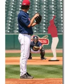 The Designated Hitter Pitching Aid