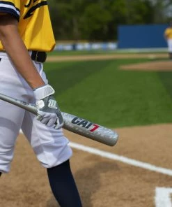 Clearance – Marucci CAT 7 Silver (-5) USSSA Baseball Bat: MSBC725S -Baseball Sales Store CAT7Silver 6 800x