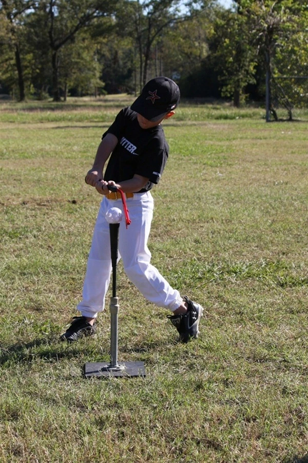 The Insider Bat 2 The Insider Bat - Image 2