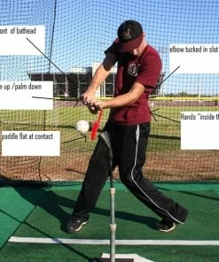 The Insider Bat 5 The Insider Bat -Baseball Sales Store INSB BAT 4