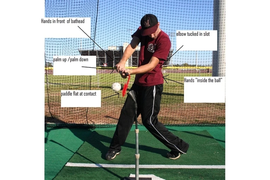 The Insider Bat 3 The Insider Bat - Image 3