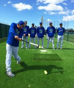 LINE DRIVE PRO Hitting Aid & Swing Trainer -Baseball Sales Store LDP SWINGTRN 6