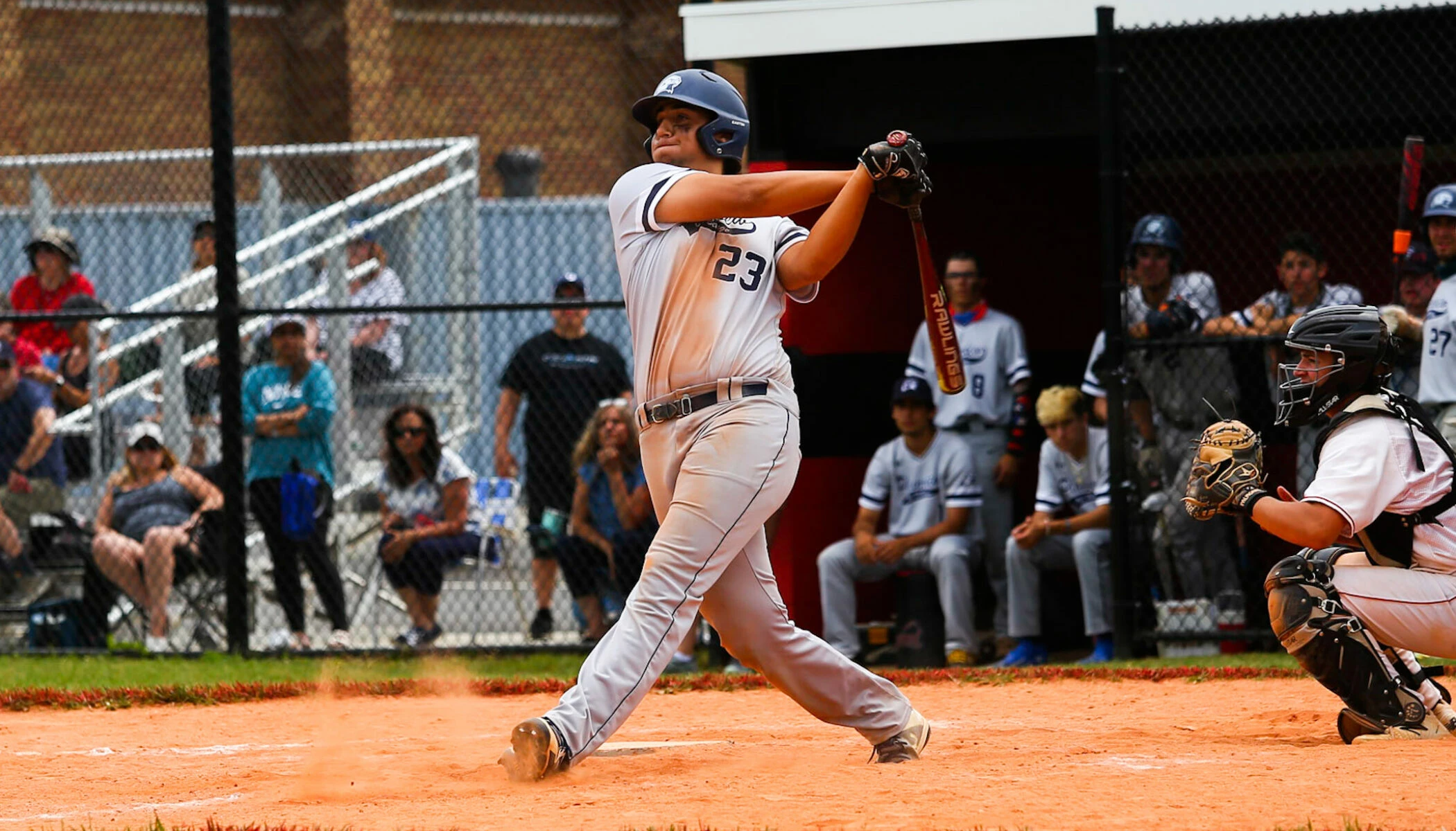 Baseball Sales Store -Baseball Sales Store IMG 2918 2100x1200 1